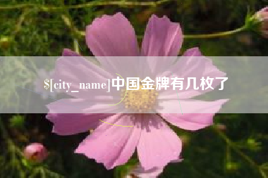 潜江中国金牌有几枚了
