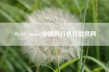 潜江中国执行执行信息网