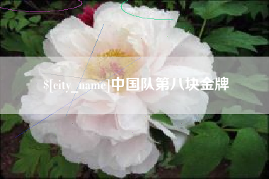 潜江中国队第八块金牌