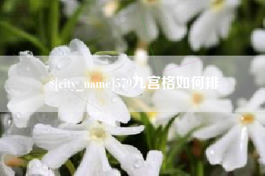 潜江579九宫格如何排