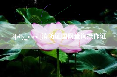 潜江消防证国网查询操作证