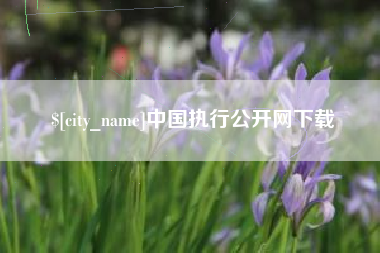 潜江中国执行公开网下载