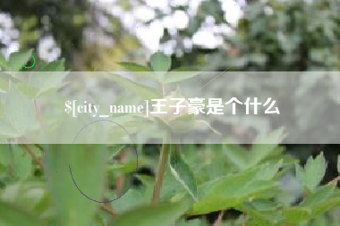 潜江王子豪是个什么