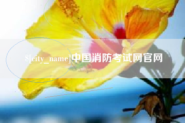 潜江中国消防考试网官网