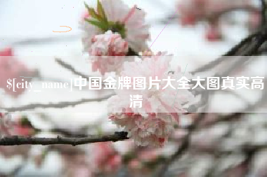 潜江中国金牌图片大全大图真实高清