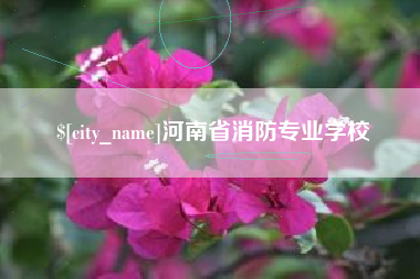 潜江河南省消防专业学校