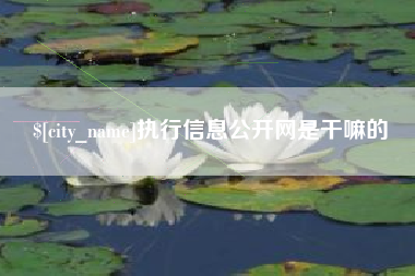 潜江执行信息公开网是干嘛的