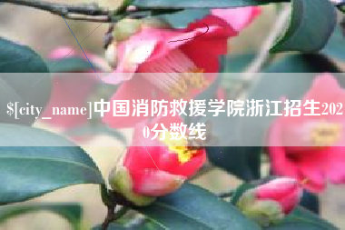 潜江中国消防救援学院浙江招生2020分数线
