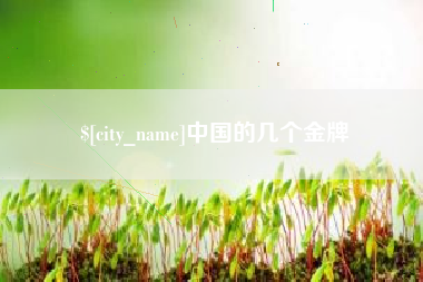 潜江中国的几个金牌