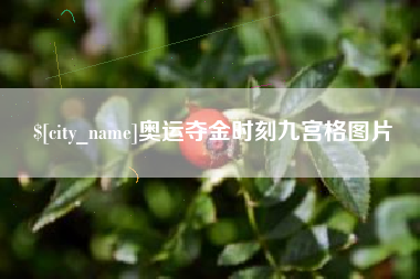 潜江奥运夺金时刻九宫格图片