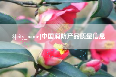 潜江中国消防产品质量信息