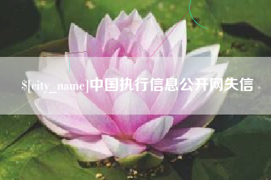 潜江中国执行信息公开网失信
