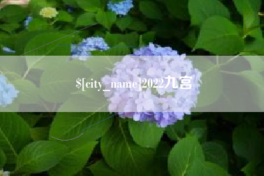 潜江2022九宫
