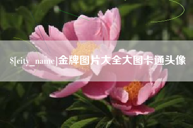 潜江金牌图片大全大图卡通头像