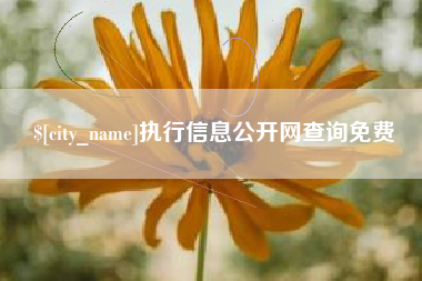 潜江执行信息公开网查询免费