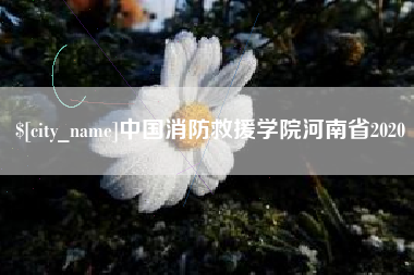 潜江中国消防救援学院河南省2020